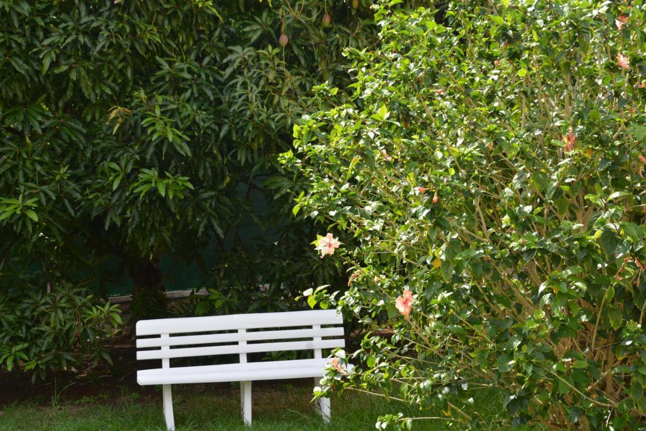 Residence De Vacances Mon Refuge - Bungalow De Type T3 Grande Anse エクステリア 写真
