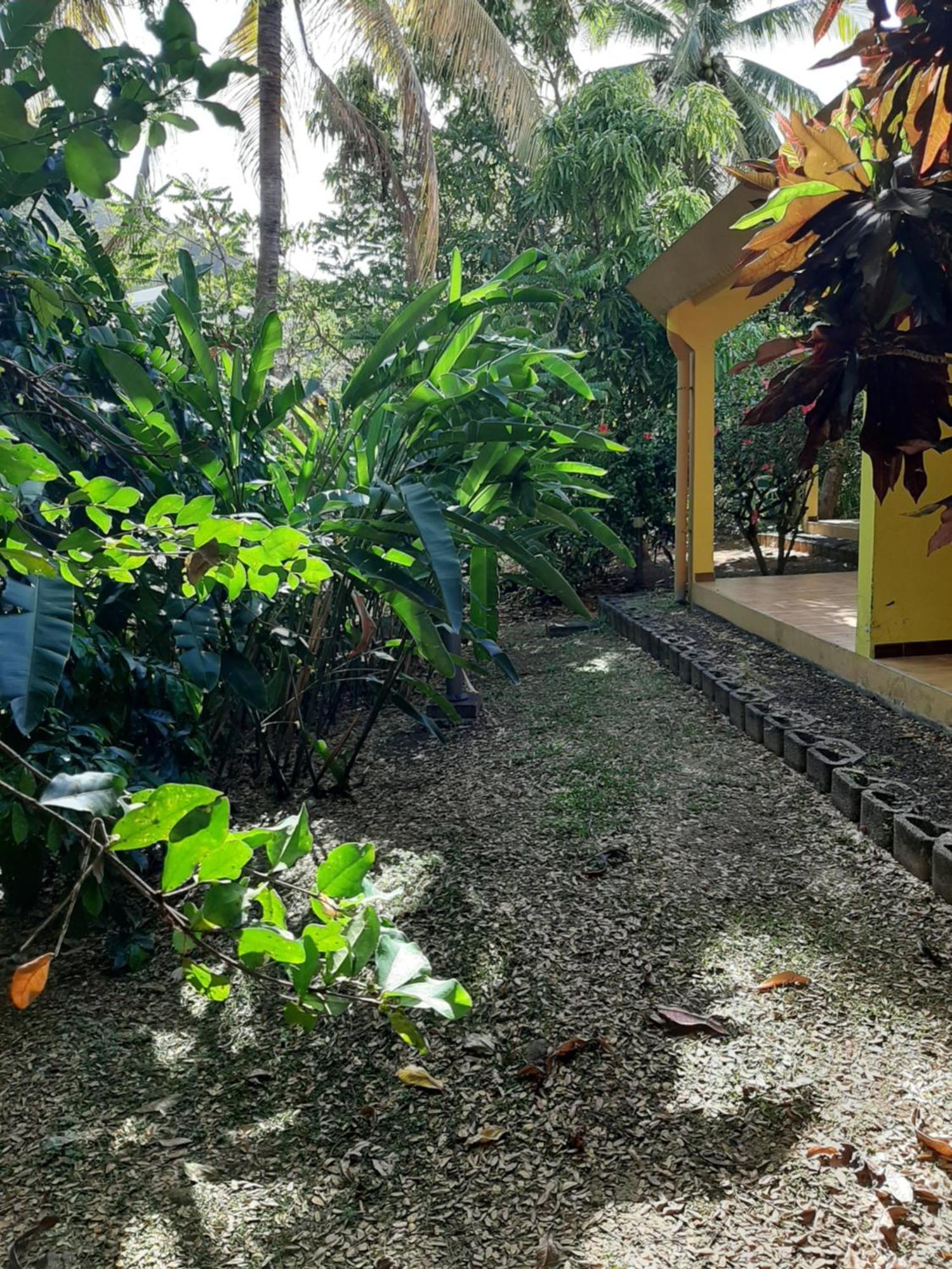 Residence De Vacances Mon Refuge - Bungalow De Type T3 Grande Anse エクステリア 写真
